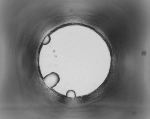 X0000114230791200911201108