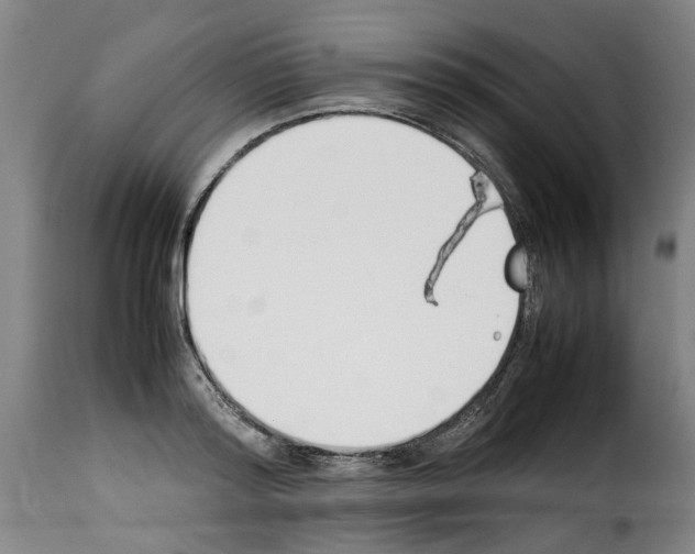 X0000114230796200911201108