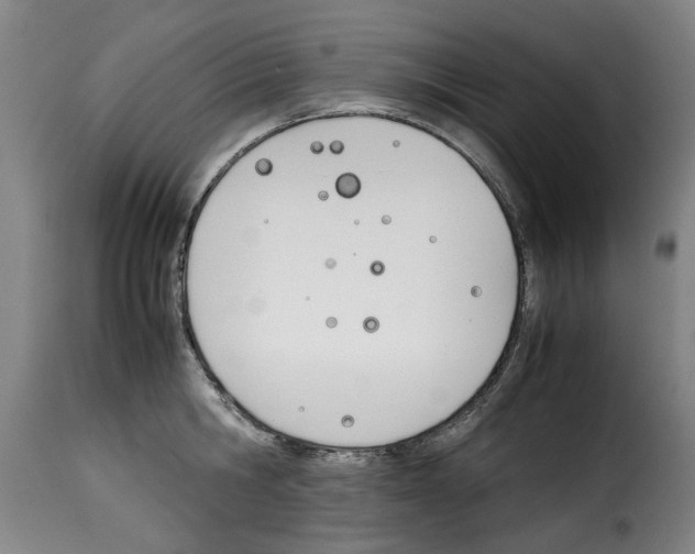X0000114230806200911201108