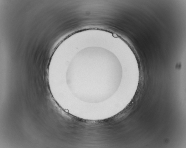 X0000114230807200911201108