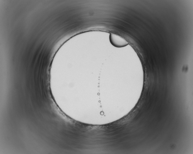 X0000114230808200911201108