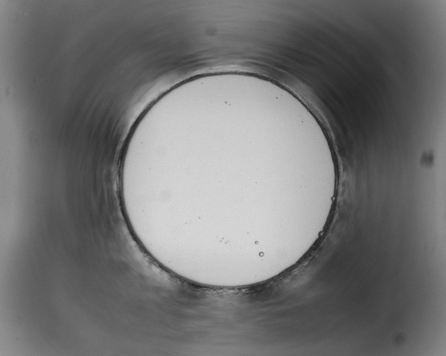 X0000114230813200911201108