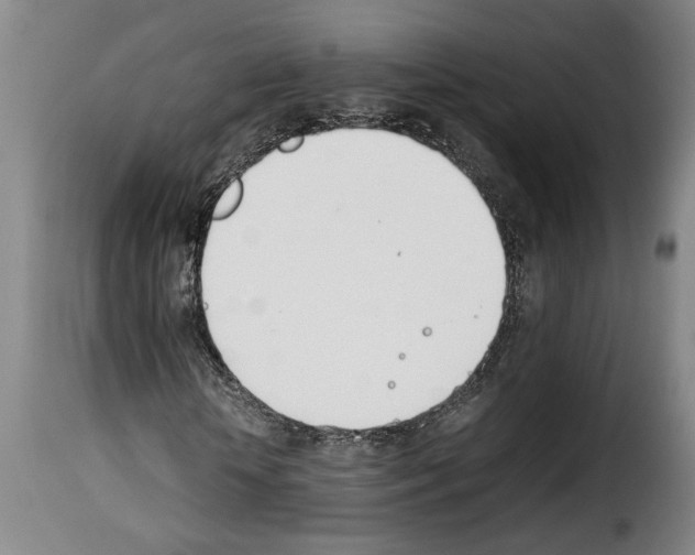 X0000114230818200911201107