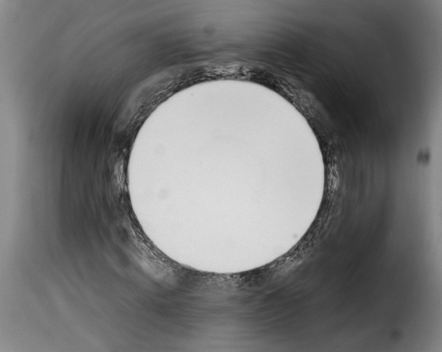 X0000114230820200911201107