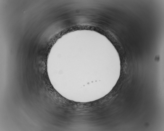 X0000114230821200911201107