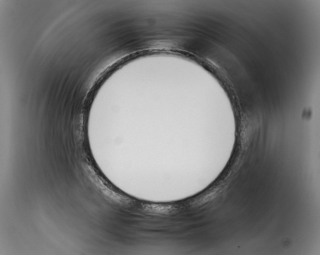X0000114230831200911201108