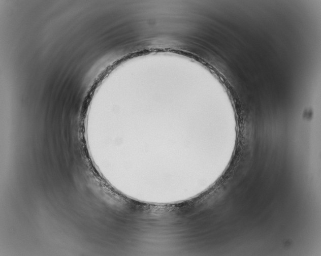 X0000114230832200911201108