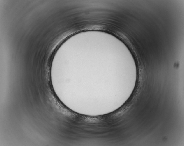 X0000114230835200911201108