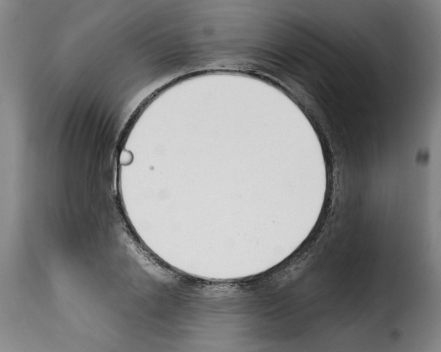 X0000114230838200911201108