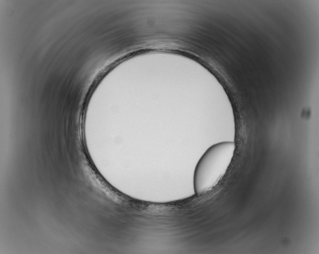 X0000114230840200911201108