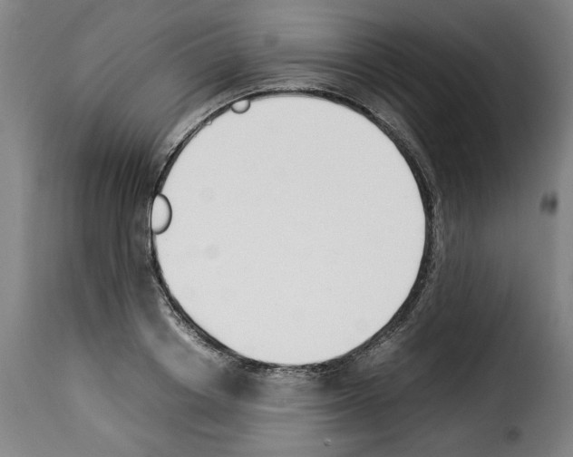 X0000114230842200911201108