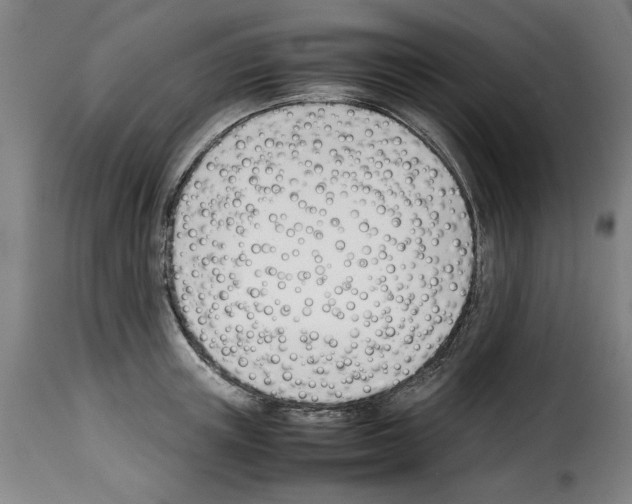 X0000114230851200911201108