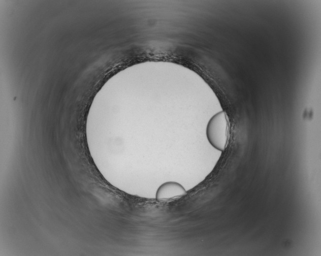 X0000114230865200911201107