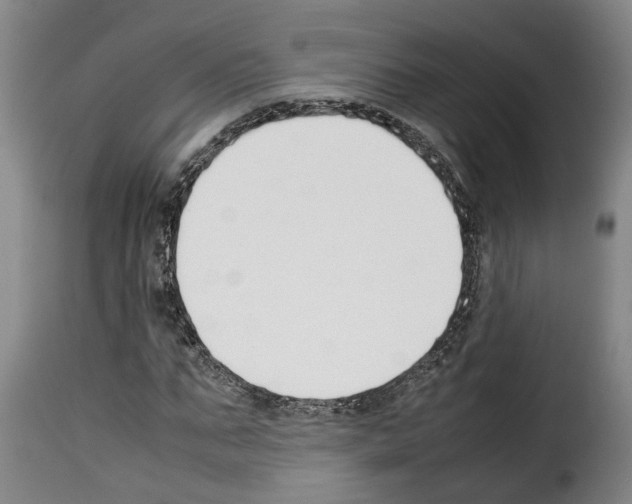 X0000114230871200911201107