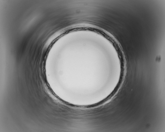 X0000114230873200911201107