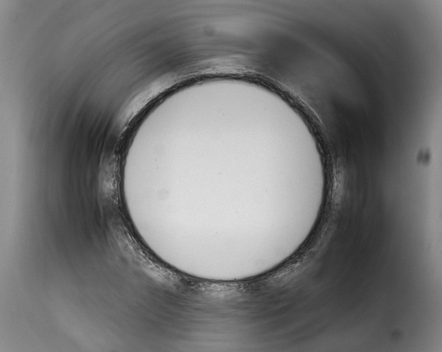 X0000114230874200911201107