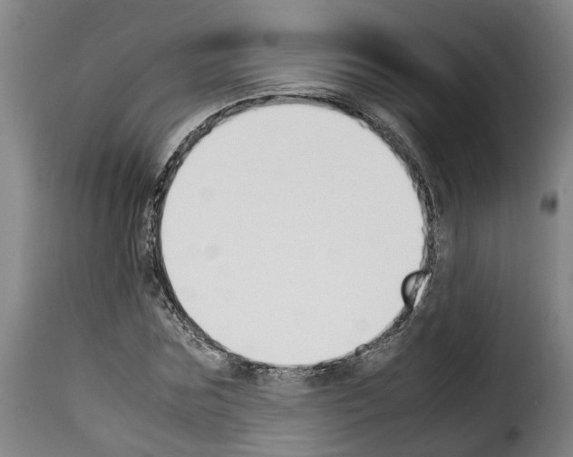 X0000114230875200911201107