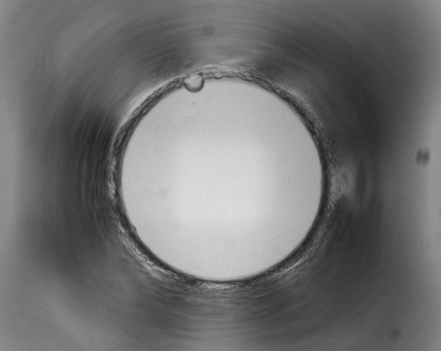 X0000114230878200911201107