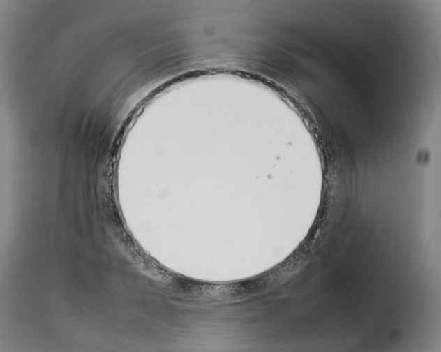 X0000114230879200911201107