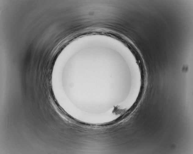 X0000114230881200911201107