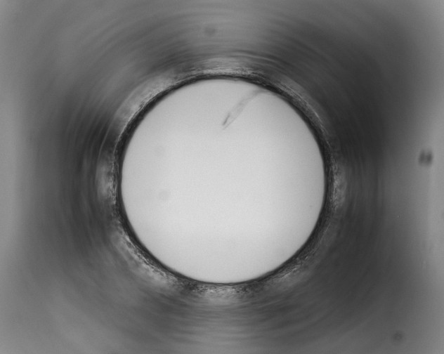 X0000114230882200911201107