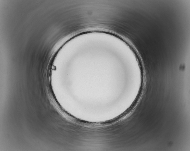 X0000114230885200911201107