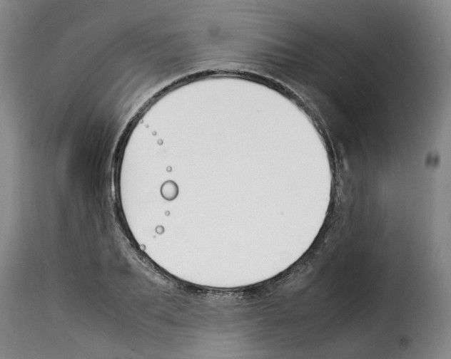 X0000114230887200911201107