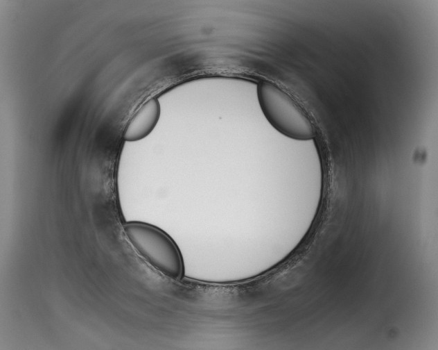 X0000114230889200911201107