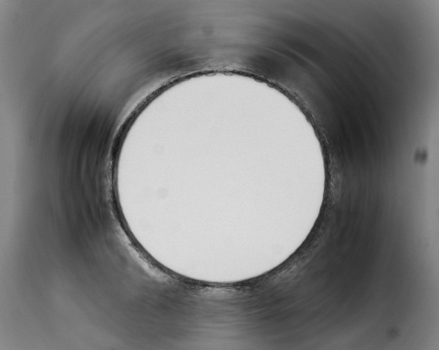 X0000114230894200911201107