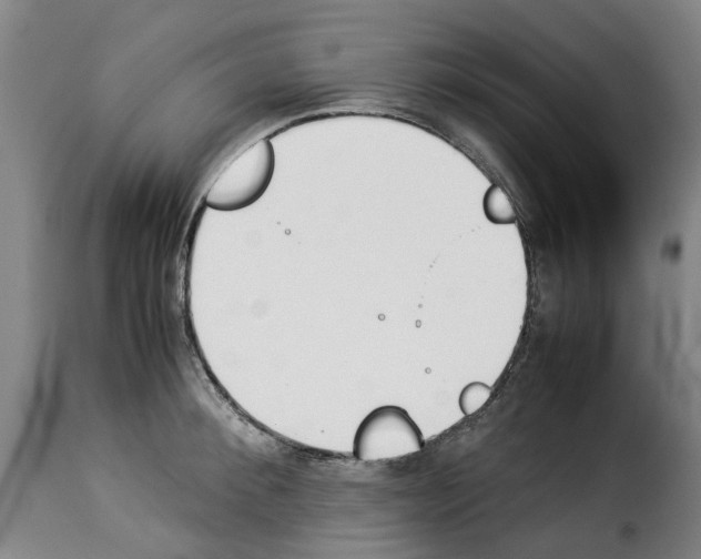 X0000114230900200911201107