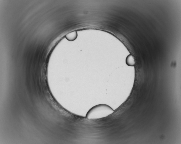 X0000114230904200911201107