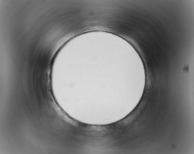 X0000114230910200911201107