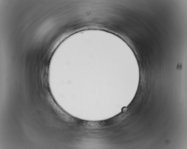 X0000114230911200911201107