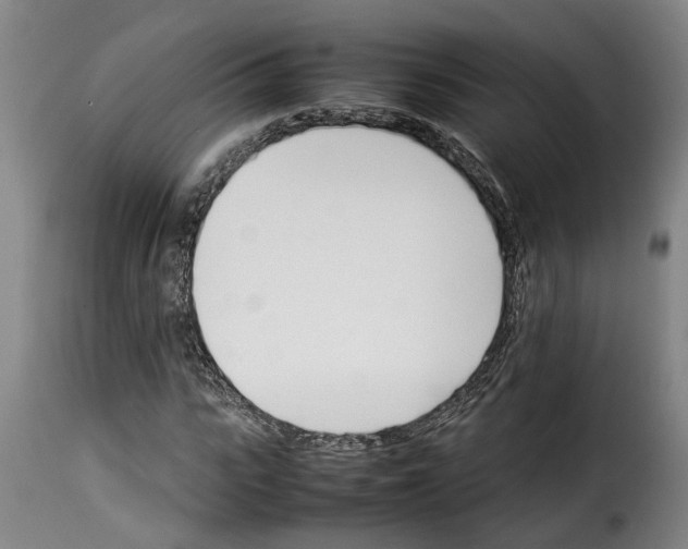 X0000114230919200911201106