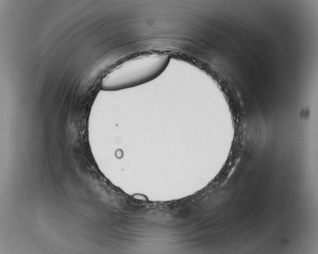 X0000114230920200911201106