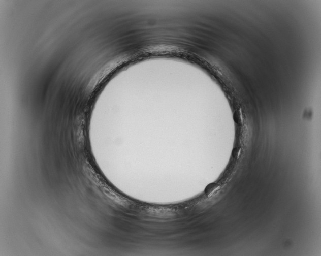 X0000114230921200911201106