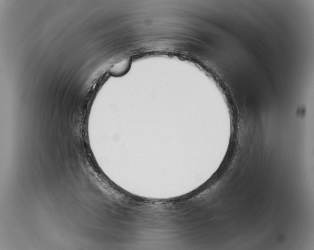 X0000114230922200911201106