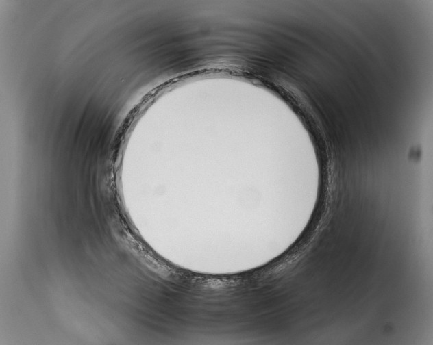 X0000114230923200911201106