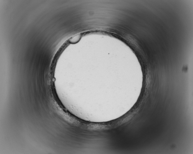 X0000114230924200911201106