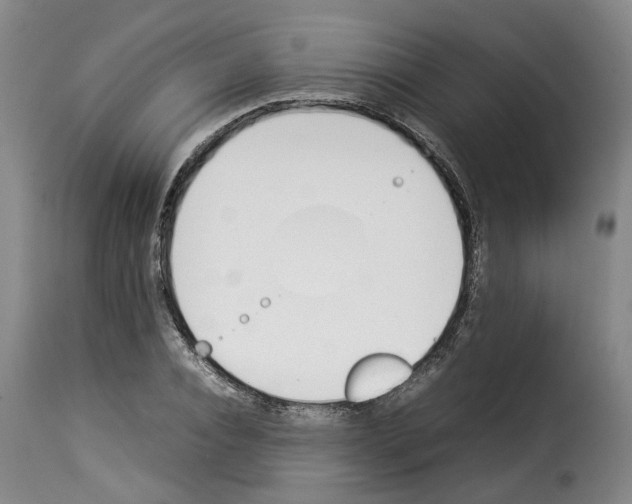 X0000114230928200911201106