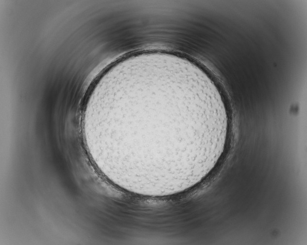 X0000114230933200911201106