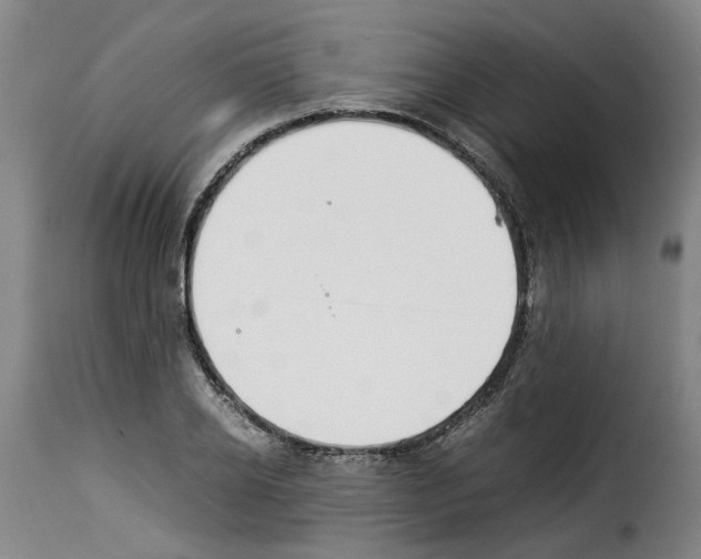 X0000114230934200911201106