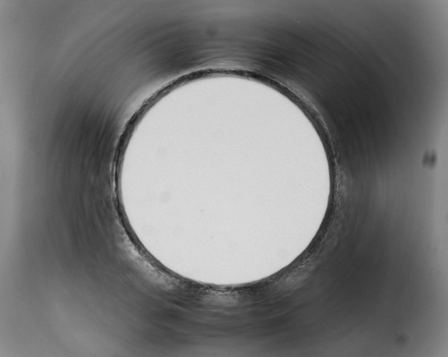 X0000114230935200911201106