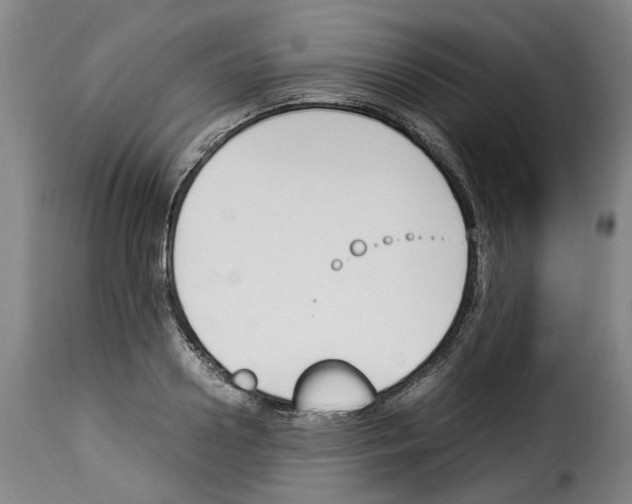 X0000114230938200911201106