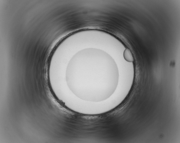 X0000114230939200911201106