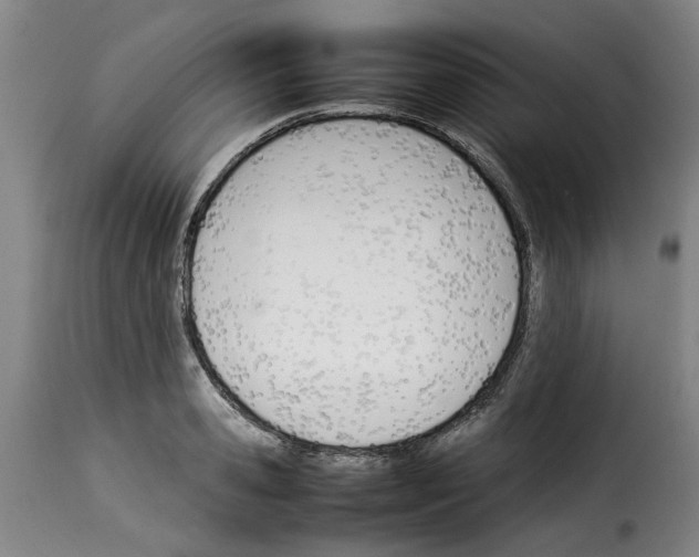 X0000114230941200911201106