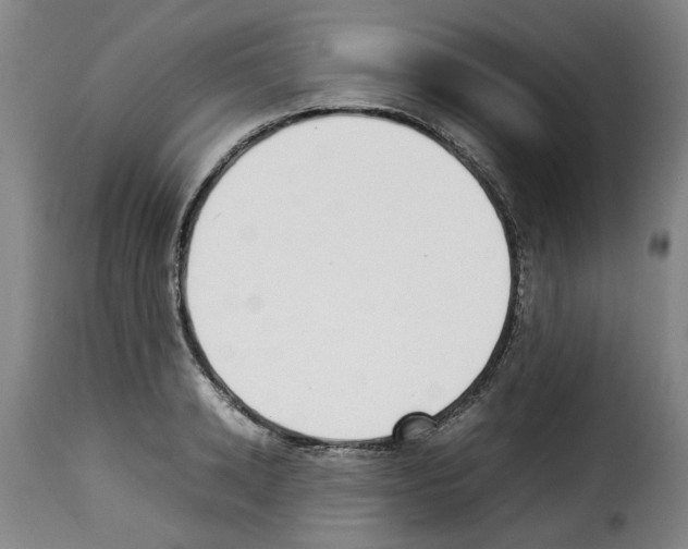 X0000114230942200911201106
