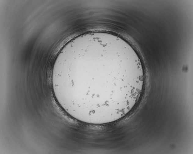 X0000114230945200911201107