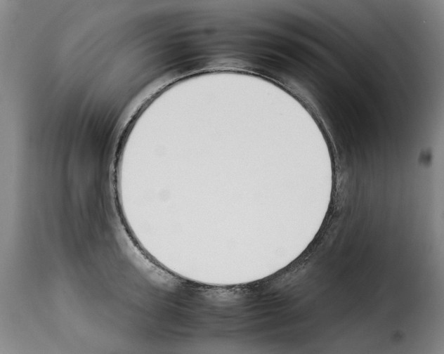 X0000114230947200911201107