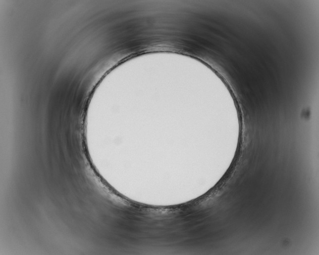 X0000114230949200911201107